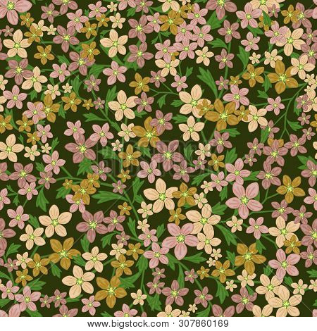 Vector Seamless Retro Pattern, Flowers Saxifrage. Fills, Wallpaper, Surface Textures.