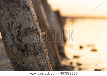 Sunset On The Kuyalnik Liman. Odessa. Ukraine. Old Logs Are Visible From The Water - The Remains Of 