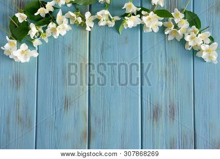 Background For Congratulatory Banner With Jasmine Flowers On Wooden Background. Jasmine Flowers On W