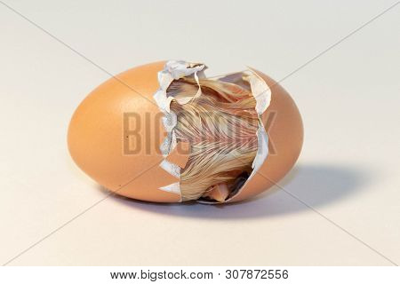Yellow Chicken Hatching Out Of An Egg