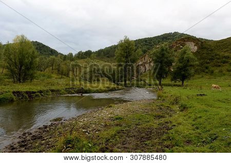 Mountain Landscape In The Vicinity Of The Taiga Village Generalka Altai Territory