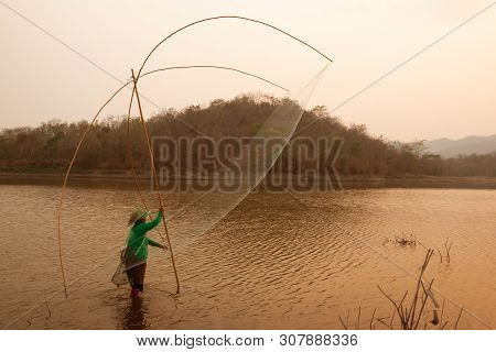 Villagers Are Catching Fish By Fish Trap (net Trap) In Reservoir
