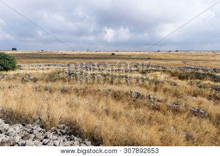 The Remnants Of The Megalithic Complex Of The Early Bronze Age  - Wheels Of Spirits - Rujum Al-hiri 