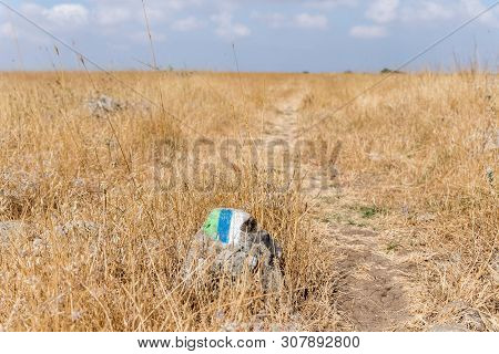 Roadside Stone With Markings Near The Megalithic Complex Of The Early Bronze Age  - Wheels Of Spirit
