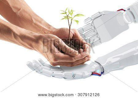 Male Hands Gives Away Small Plant Ti Robotic Hands. The Future Is In Our Hands. Automation Concept.
