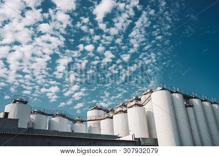 Agricultural Silos. Storage And Drying Of Grains, Wheat, Corn, Soy, Sunflower. Industrial Building E