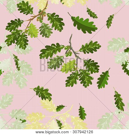 Oak Branches With Leafs And Acorn Seamless Pattern On Pink For Background And Textures