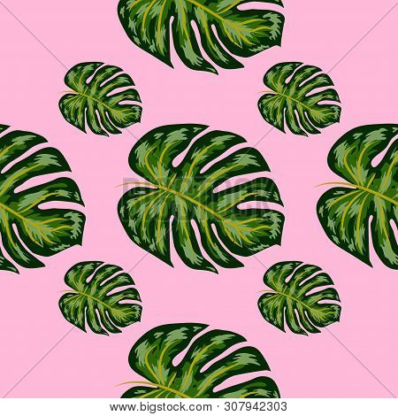 Tropical Pattern. Seamless Texture With Bright Hand Drawn Leaves Of Monstera.