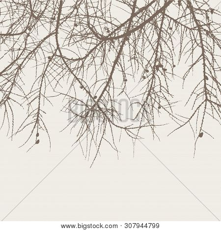 Vector Image Of Silhouettes Of Spruce Tree In The Cold Season