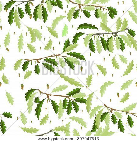 Oak Branch With Leaf And Acorn Seamless Pattern Background