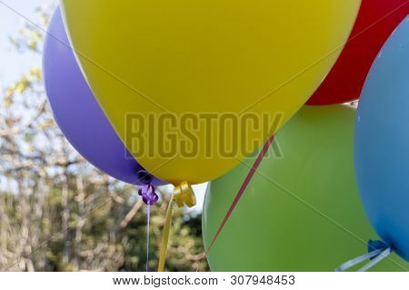 A Close Up View Of A Bunch Of Colourful Ballons Tired With Ridden