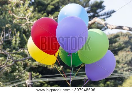 A Close Up View Of A Bunch Of Colourful Ballons Tired With Ridden