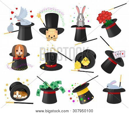Magician Hat Vector Illusionist Show With Animal Character Cat Dog In Magical Hat Illustration Illus