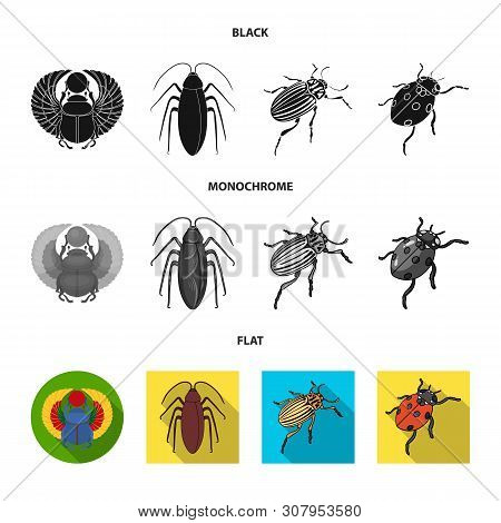 Isolated Object Of Insect And Beetle Icon. Set Of Insect And Halloween Vector Icon For Stock.