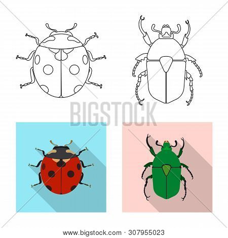 Vector Illustration Of Insect And Fly Icon. Set Of Insect And Element Vector Icon For Stock.