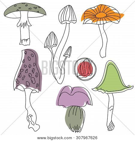 Mushrooms Isolated On White Background. Kitchen And Home Decoration Series.