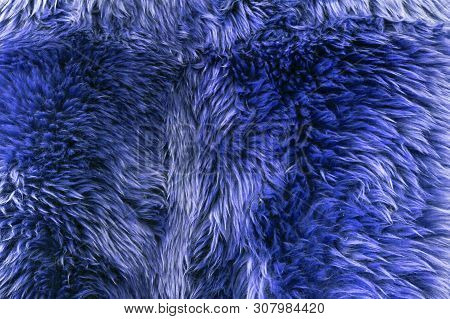 Faux Fur - Blue Cape. Front View
