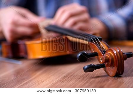 Young handsome repairman repairing violin
