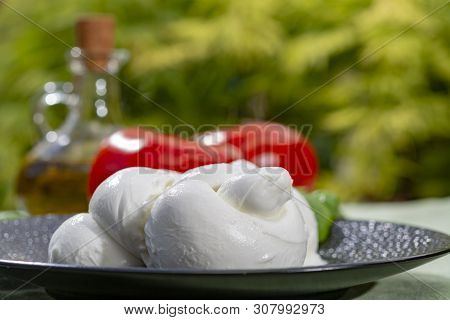 Twisted To Form A Plait Treccia Mozzarella Italian Soft Cheese Served With Fresh Basil And Tomatoes