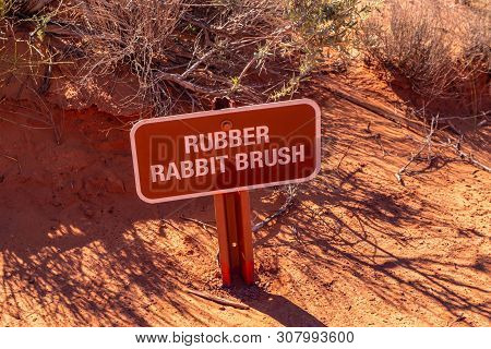 Desert Rubber Rabbit Brush. Plant And Sign Against Blur Red Sand Background. Trail Path Signage Monu