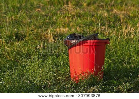 Red Litter On Green Grass. Garbage In The Nature After The Concert.