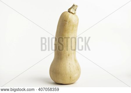 A Close-up Shot Of A Butternut Squash Set On A Plain White Background.