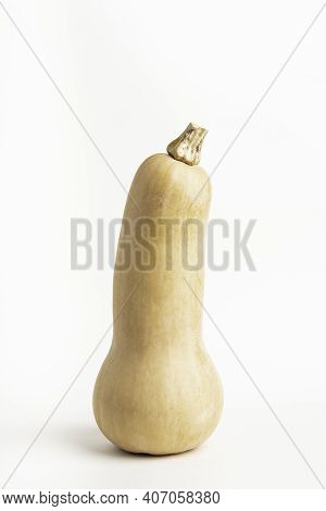 A Close-up Shot Of A Butternut Squash Set On A Plain White Background.