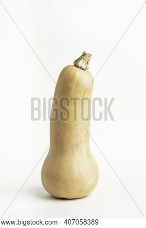 A Close-up Shot Of A Butternut Squash Set On A Plain White Background.