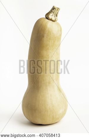 A Close-up Shot Of A Butternut Squash Set On A Plain White Background.