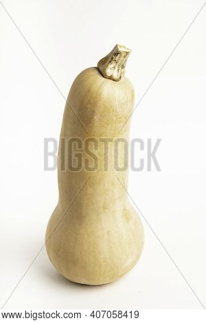 A Close-up Shot Of A Butternut Squash Set On A Plain White Background.