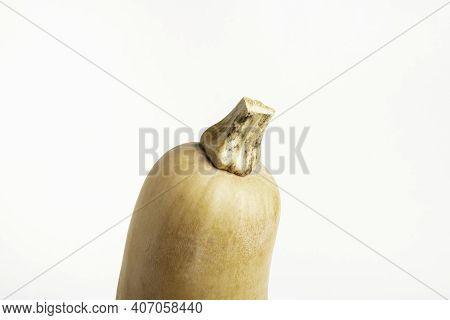 A Close-up Shot Of A Butternut Squash Set On A Plain White Background.