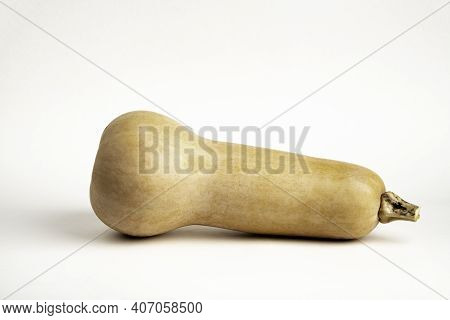 A Close-up Shot Of A Butternut Squash Set On A Plain White Background.