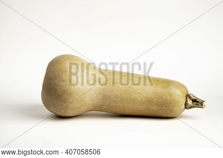 A Close-up Shot Of A Butternut Squash Set On A Plain White Background.