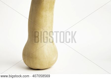A Close-up Shot Of A Butternut Squash Set On A Plain White Background.