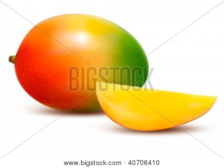 Moden frisk mango med skive. Vektor illustration.