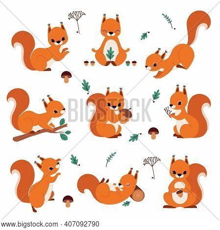Cute Red Squirrel Vector Photo Free Trial Bigstock