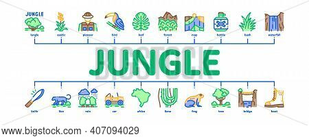 Jungle Tropical Forest Minimal Infographic Web Banner Vector. Jungle Tree And Animal, Waterfall And 