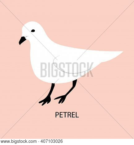 Vector Illustration With Petrel. Cute Cartoon Character.