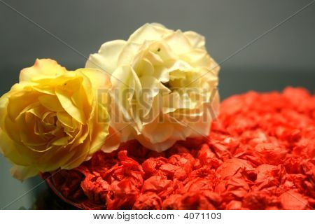 Yellow Roses And Heart