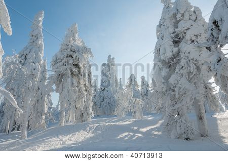 Invierno
