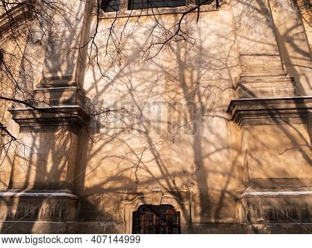 Abstract Background Of Brown Wall With Shadows From Trees Beautiful Vintage Wooden Door Wondow Antiq