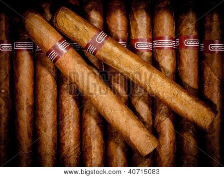 오픈 humidor 상자 시가의 까이 서
