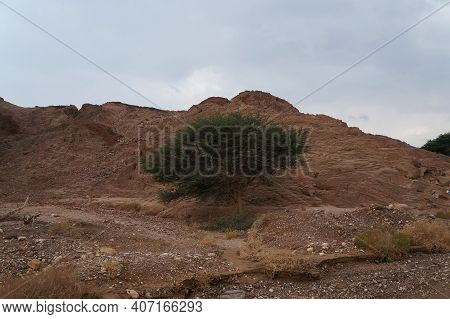 Hiking In Evening In Shehoret Mountains, South Israel
