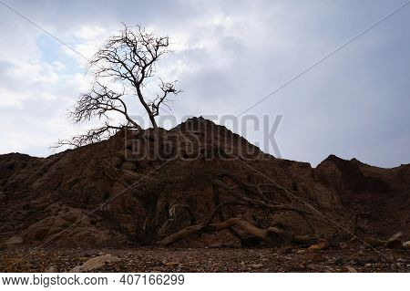 Hiking In Evening In Shehoret Mountains, South Israel