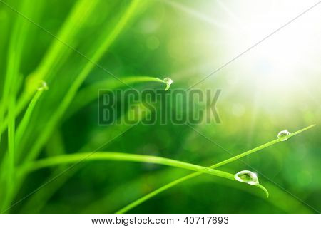 Øko natur baggrund med græs, solen og Waterdrops / svækkede Bokeh