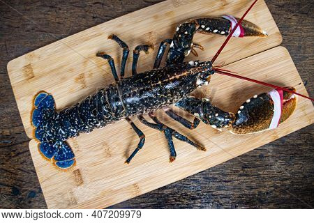 Fresh  Lobster   On Wooden Board   Whole  Lobster