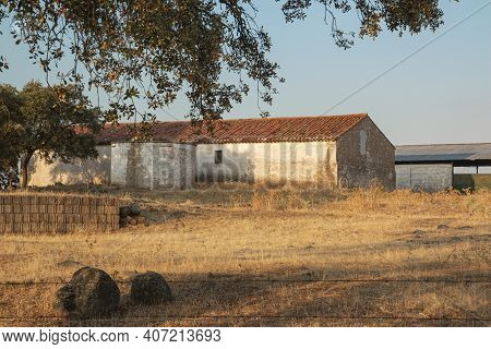 Animal Farm In The Fields Of Andalusia