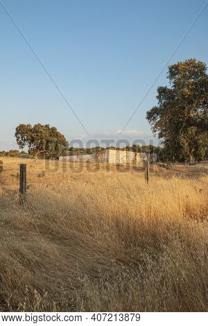 Animal Farm In The Fields Of Andalusia