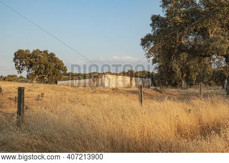 Animal Farm In The Fields Of Andalusia