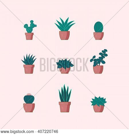 Cacti And Succulents Vector Potted Plants Set